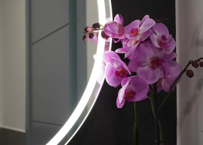 Around Bed & Breakfast